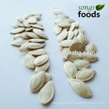 Edible Shine Skin Pumpkin Seeds In Shell